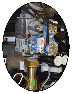 bx pt 228 combi.gv in situ.gif